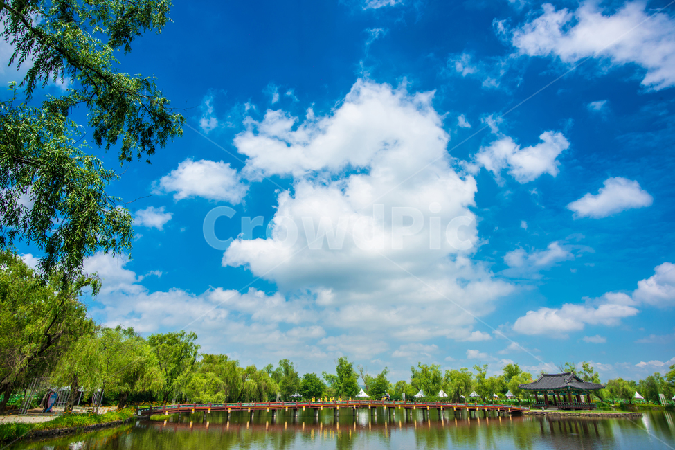 궁남지,부여,연못,여름,구름,자연,풍경,nature,landscape,한국전통,한국문화,korean traditional,korean culture,건축물,건물외관,exterior,building,structure,architecture,construction,outdoors,옥외,water,물