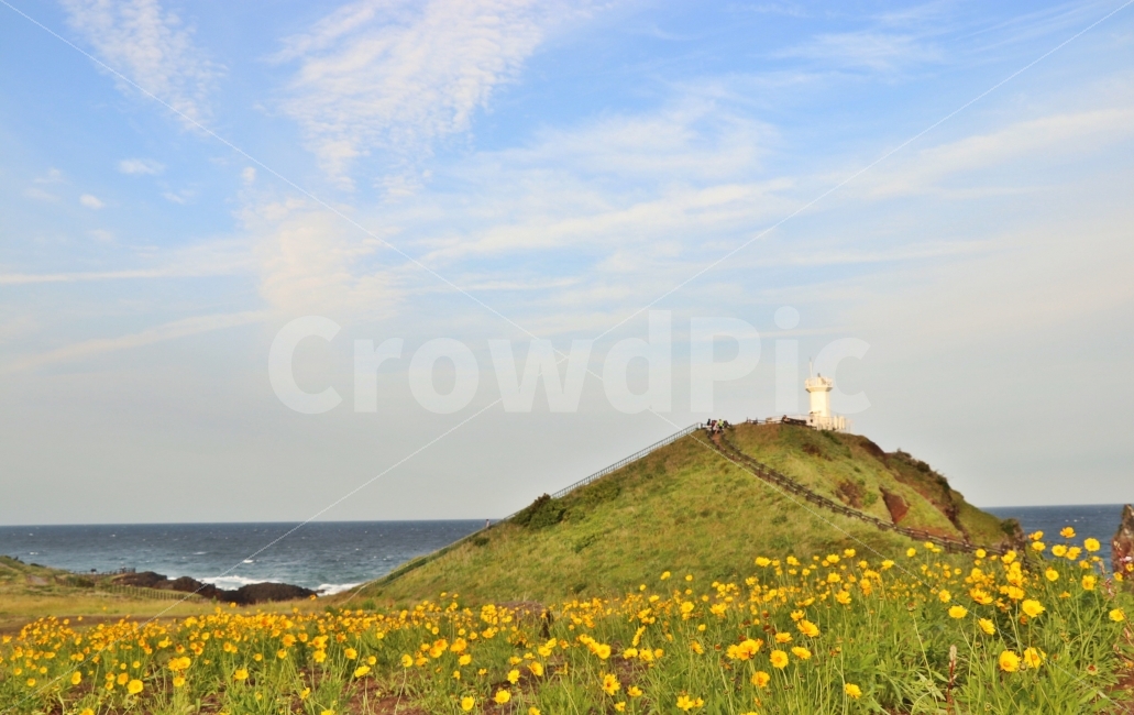 제주도,섭지코지,여행,바람,바다,감성,꽃,느낌,경치,풍경,자연,풍경,nature,landscape,등대,lighthouse,제주도,jeju,jeju island,outdoors,옥외,grassland,목초지,field,들