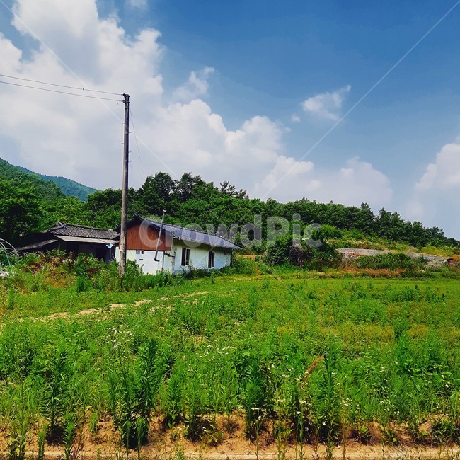 시골,자연,풍경,하늘,구름,집,시골,마을,풍경,landscape,country,rural,town
