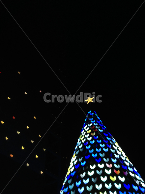 트리,겨울,전등,하트,야경,분위기,겨울,계절,winter,season,야경,밤,풍경,nightscape,night,landscape,기념일,축하,anniversary,congratulation,celebrate,celebration,메리크리스마스,성탄절,merry christmas,tree,나무,plant,식물