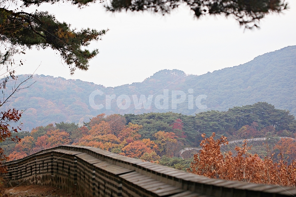 남한산성,성,성곽,단풍,낙엽,길,둘레길,숲,숲길,담,돌담,가을,자연,풍경,벽,울긋불긋,산성,식물,가을,계절,fall,autumn,season