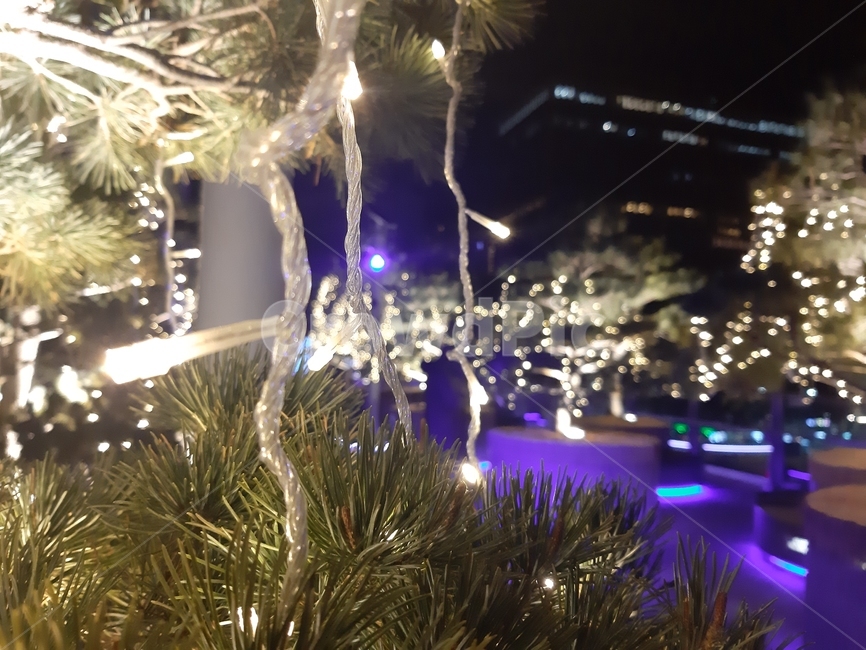 서울,한국,감성,밤,야경,야경,밤,풍경,nightscape,night,landscape,nature,자연,outdoors,옥외,ice,빙