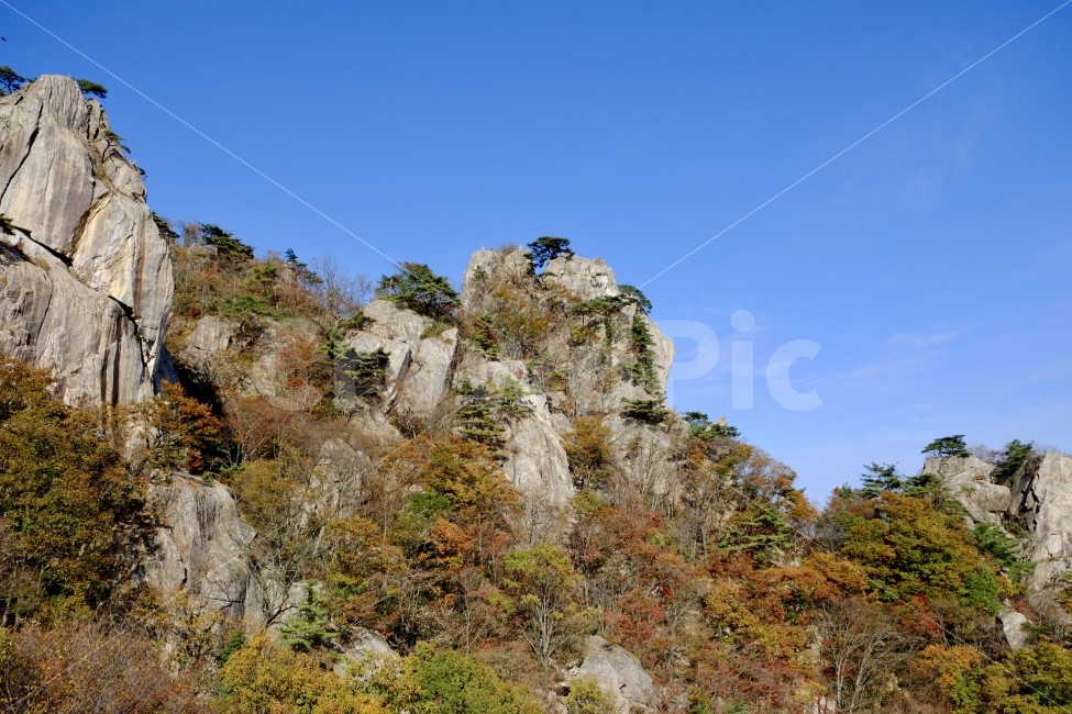 가을,산,자연,자연풍경,대둔산,바위,나무,숲,단풍,자연,풍경,nature,landscape,한국자연풍경,한국자연경관,korea nature landscape,outdoors,옥외,cliff,낭떠러지
