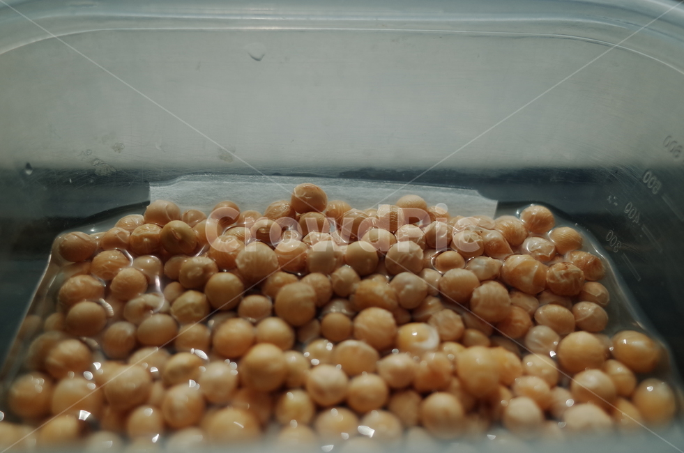 콩,식품,곡물,불린콩,잠김,음식,식재료,요리,food,cook,meal,dishes,food reserves,콩류,견과류,beans,pulse,nuts,dry fruits