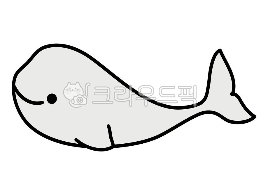 고래,벨루가,해양동물,해양생물,돌고래,상괭이,흰돌고래,흰고래,보호동물,포유류,보호생물,밸루가,바다속,해양보호생물,해양보호동물,캐릭터,귀여운,동물,바다,일러스트