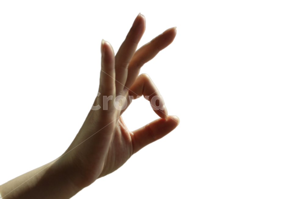 손,사람,인간,hand,오케이,사람,인물,인간,human,person,손,제스처,표시,손짓,표현,gesture,hand,sign,expression