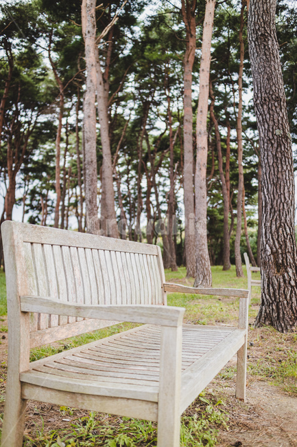 벤치,나무,식물,감성,bench,plant,tree,가구,사물,물건,오브젝트,thing,object,matter