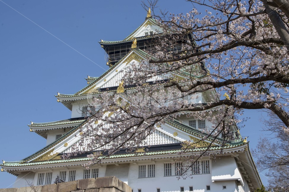 오사카성,architecture,건축물,building,건물,castle,성,요새,해자외호