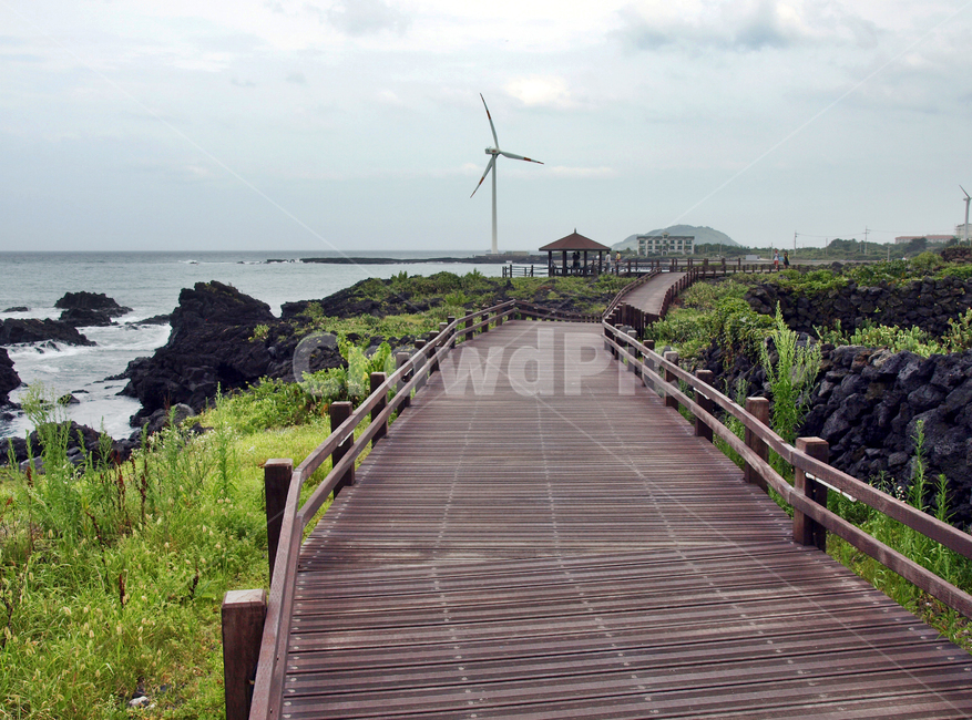 해안길,선인장자생지,제주,올레14코스,올레길,바다,풍력발전기,자연,풍경,nature,landscape,제주도,jeju,jeju island,산업,industry,industrial,에너지산업,energy industry,building,건물,bridge,다리,boardwalk,산책로
