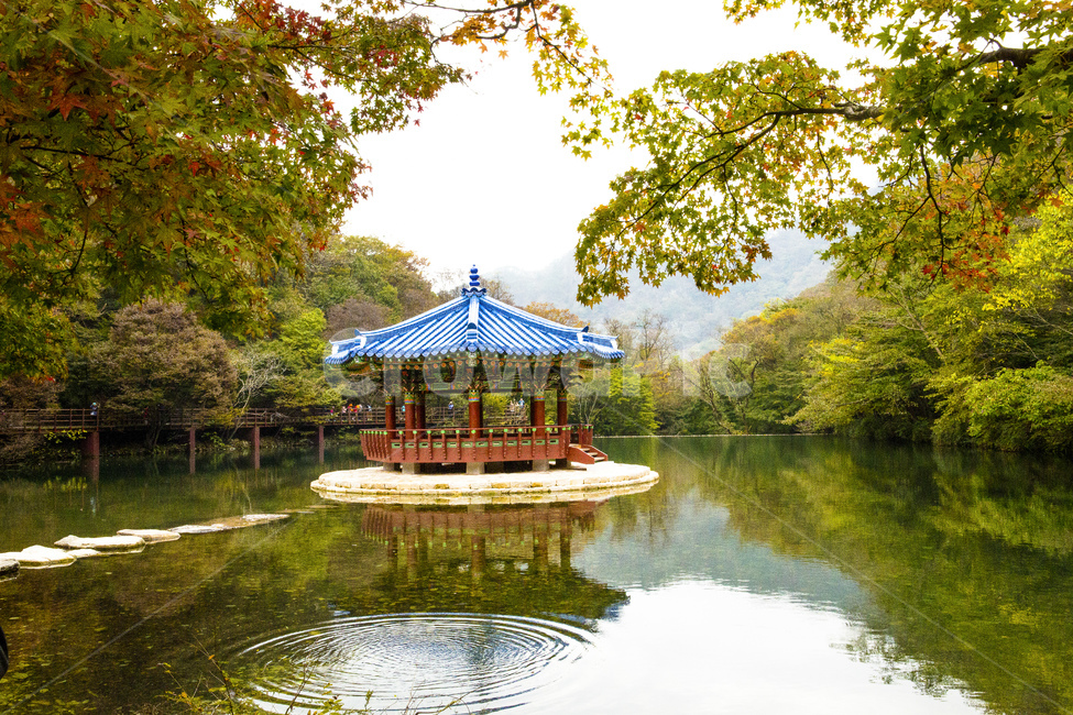 자연,풍경,경관,경치,정자,기와집,우화정,연못,계절,가을,단풍철,울긋불긋,단풍,단풍잎,식물,나무,단풍나무,물,물그림자,반영,기와,청기와,내장사,내장산,공원,국립공원,산,가을,계절,fall,autumn,season,자연,풍경,nature,landscape,한국자연풍경,한국자연경관,korea nature landscape