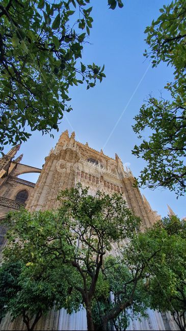 스페인,세비야,세빌리야,spain,sevilla,세비야대성당,성당,대성당,catholic,church,건축물