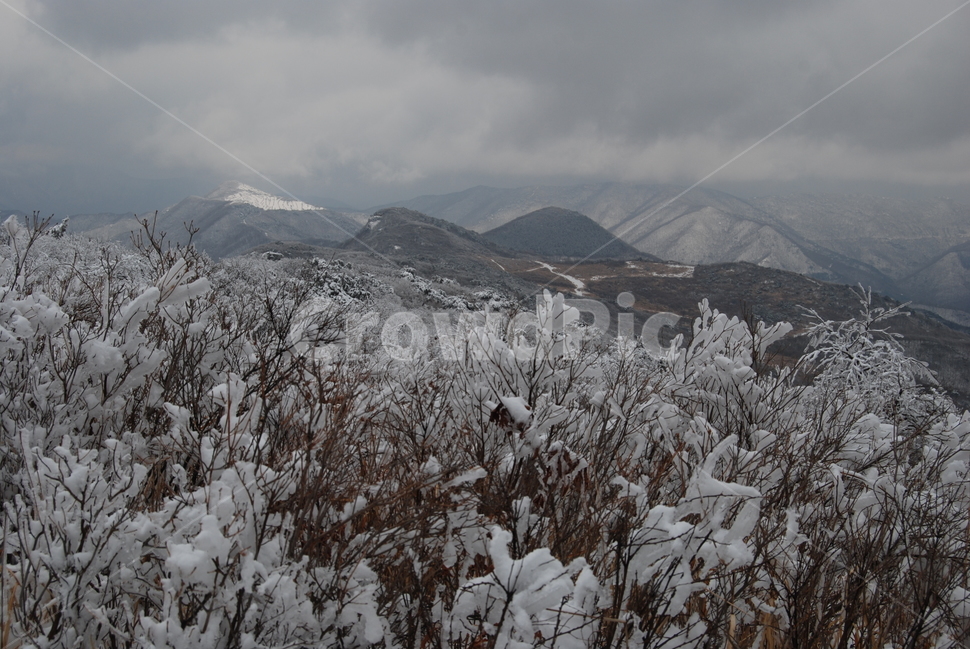 겨울,눈,공원,탐방로,자연,겨울,계절,winter,season,자연,풍경,nature,landscape,한국자연풍경,한국자연경관,korea nature landscape,outdoors,옥외,ice,빙,snow