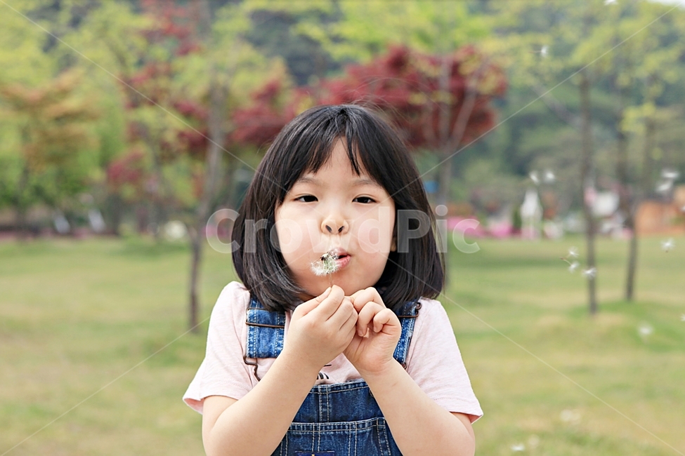 여자아이,아이,어린이,사람,자연,배경