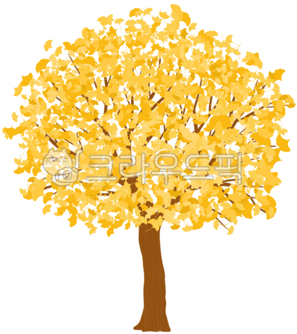 가을,계절,식물,나무,단풍구경,노랑,은행나무,은행잎,낙엽,ginkgo,tree