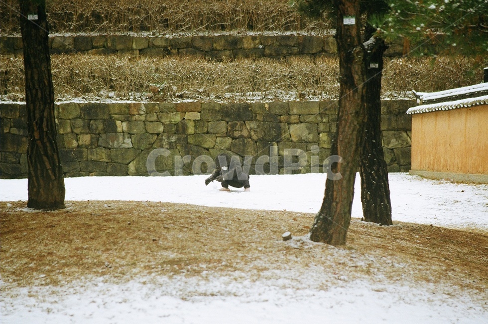눈,필름,필름사진,소풍,감성,감성사진,human,인간,사람,잔디,grass,식물,나무,심미적,아름다움