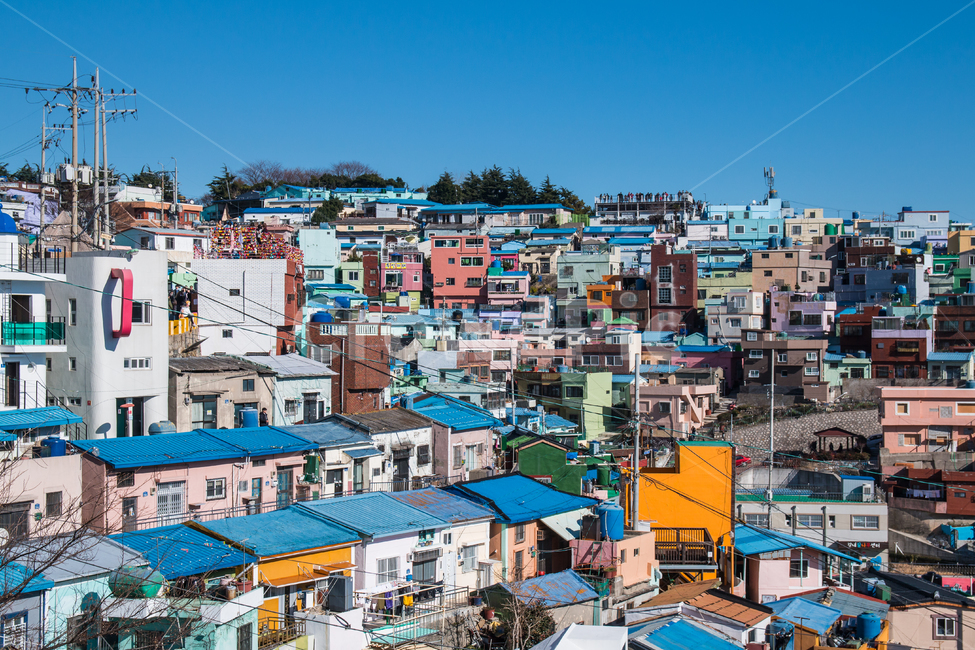 감천마을,감천문화마을,부산,문화,예술,관광지,관광,여행지,여행,산동네,달동네,푸른,하늘색,건물,빌딩,경사,언덕,명소,마을,유명한,관광명소,파란,하늘,파란하늘,파란지붕,도시,풍경,city,landscape,한국도시풍경,한국도시경관,korea cityscape,urban,어반,building,neighborhood,이웃