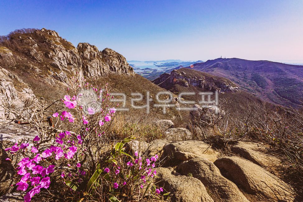 풍경, 자연, 봄, landscape, nature, 사진,이미지,일러스트,캘리그라피 - Vaun작가