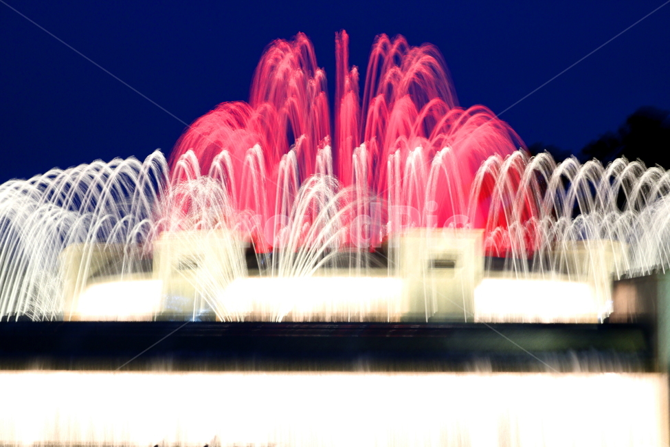 분수대,분수,물,야경,밤,풍경,빛,야경,밤,풍경,nightscape,night,landscape,water,fountain