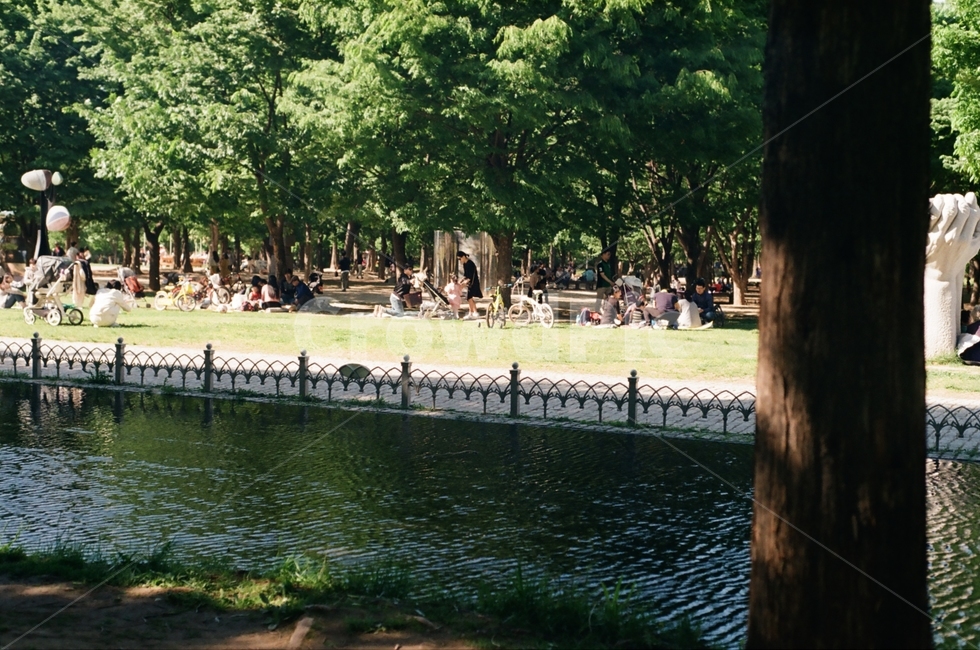 서울숲,공원,나무,숲,힐링,풍경,숲속,햇빛,강,휴식,힐링,rest,relaxation,healing