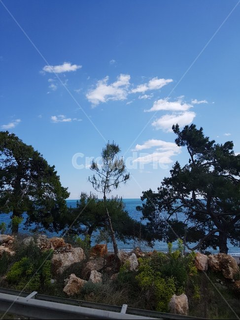 하늘,sky,구름,cloud,하늘나무,바깥풍경,좋은날