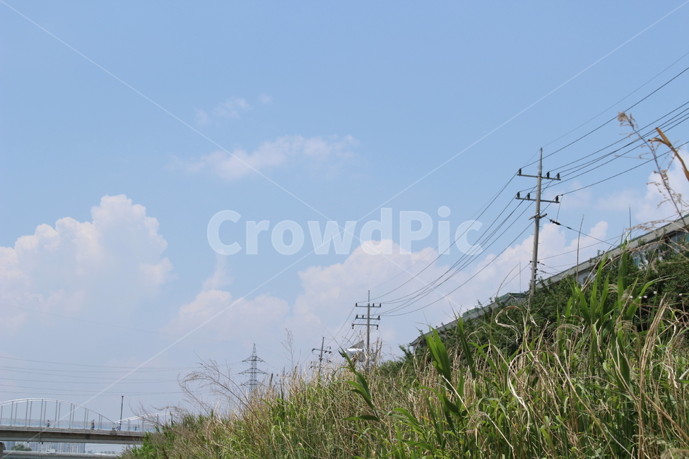 하늘,구름,맑은날씨,전봇대,풀,자연,풍경,nature,landscape,cable,케이블,power lines,전력선,electric transmission tower,송전탑