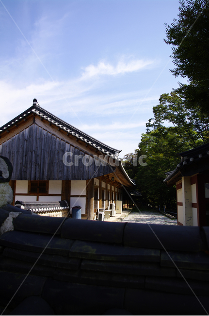 사찰,절,기와지붕,전통,하늘,구름,한국전통,한국문화,korean traditional,korean culture,건축물,건물외관,exterior,building,structure,architecture,construction