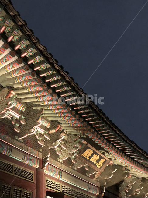 고궁,문화재,전통,야간개장,경복궁,한국,야경,밤,풍경,nightscape,night,landscape,한국전통,한국문화,korean traditional,korean culture,건축물,건물외관,exterior,building,structure,architecture,construction,pagoda,탑,건물,shrine,신사,worship,예배