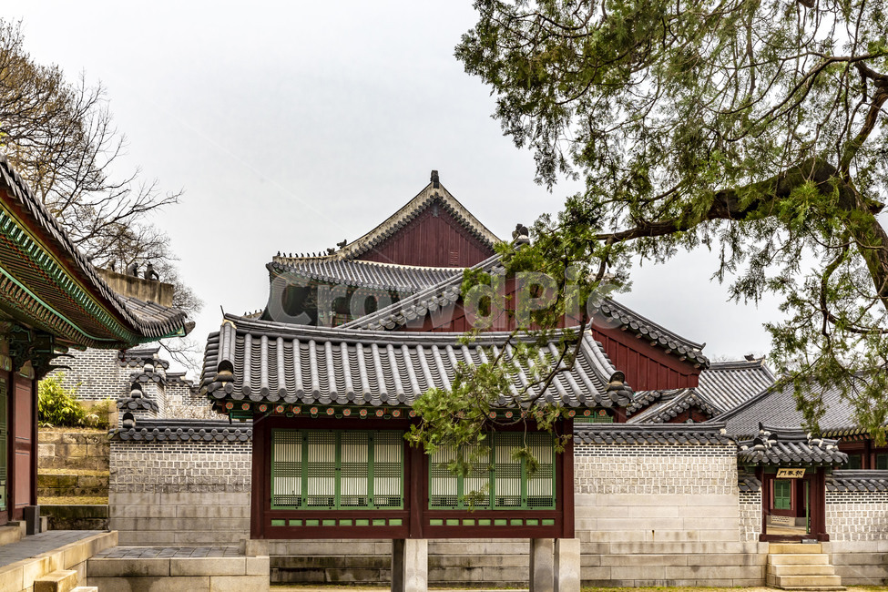 창덕궁,인정전,고궁,문화유산,궁궐,전통건축물,기와,기와지붕,문화재,전통가옥,건축물,기와담장,한국전통,한국문화,korean traditional,korean culture,건축물,건물외관,exterior,building,structure,architecture,construction