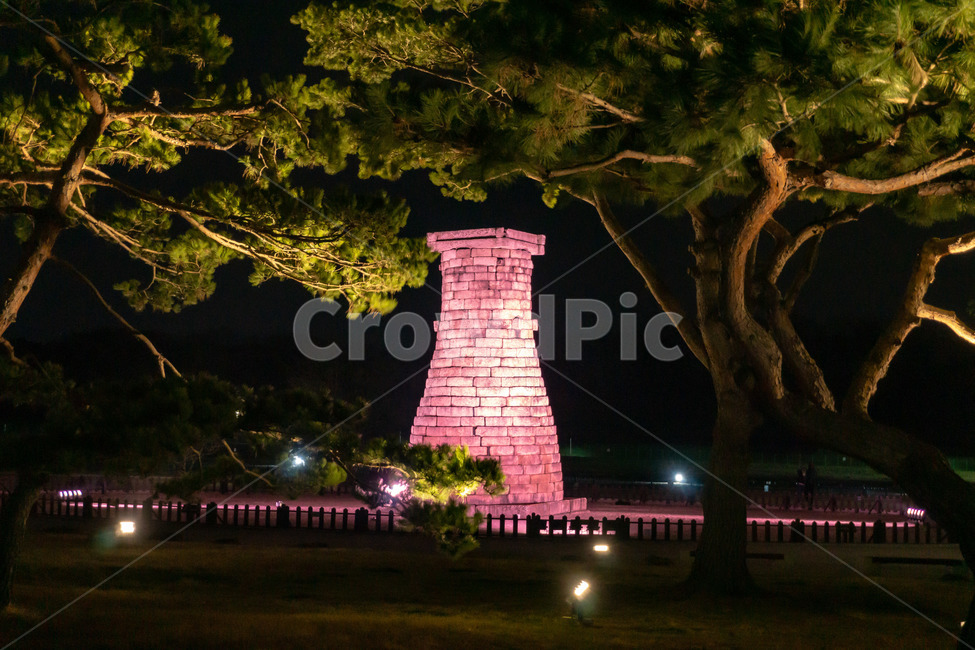 경주,첨성대,야간,랜드마크,풍경,소나무,관광지,야경,밤,풍경,nightscape,night,landscape,한국전통,한국문화,korean traditional,korean culture,랜드마크,landmark,tourist attraction,한국랜드마크,한국관광지,한국명소,korea landmark,korea tourist attraction