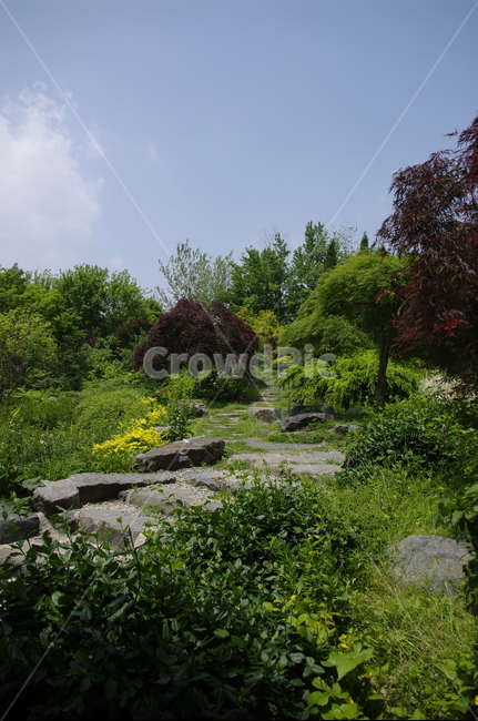 초록,나무,잎,식물,plant,계절,봄,spring,하늘,구름,풍경,길,자연,풍경,nature,landscape,tree,vegetation,초목,potted plant,화분,jar,항아리,pottery,도기류