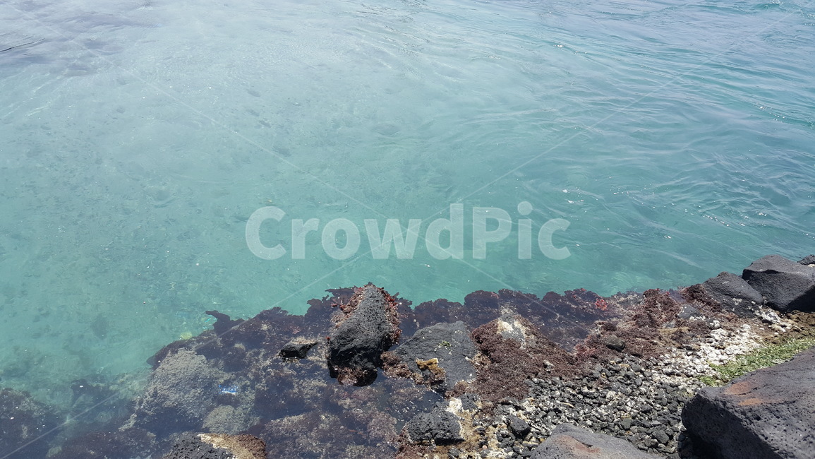 바다,sea,beach,곶,해변