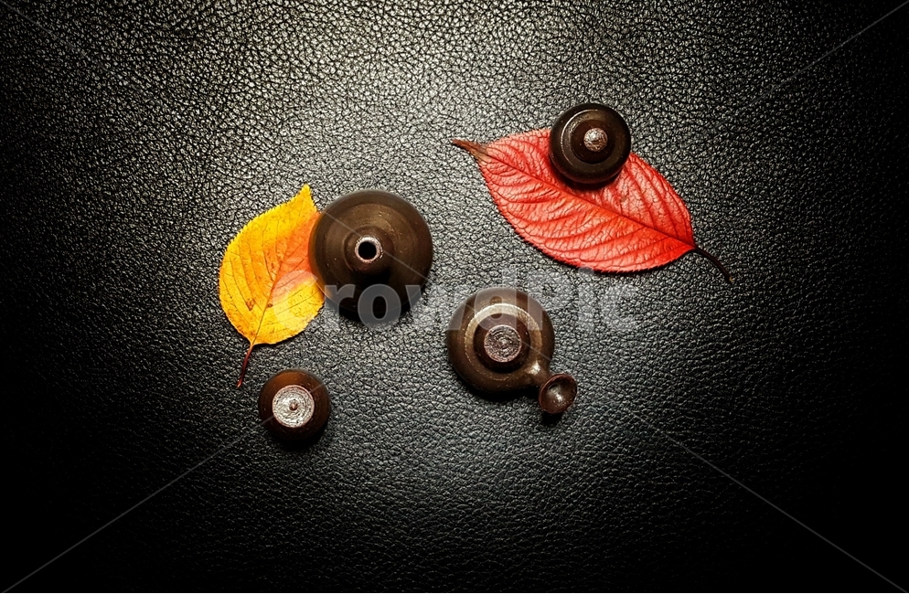 낙엽,도자기,옹기,가을,계절,자연,fall,nature,season,감성,feeling,소품옹기,항아리,한국,전통,색상,칼라,color,korean,사물,물건,object,사물,물건,오브젝트,thing,object,matter,연출,컨셉,콘셉,direction,concept