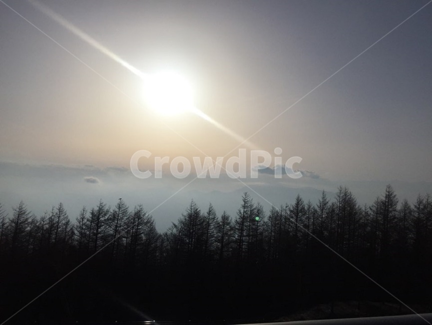 후지산,후지산전경,일본산,설경,일본설경,자연,풍경,nature,landscape,flare,플레어,light,빛,tree,나무,plant,식물,fir,전나무
