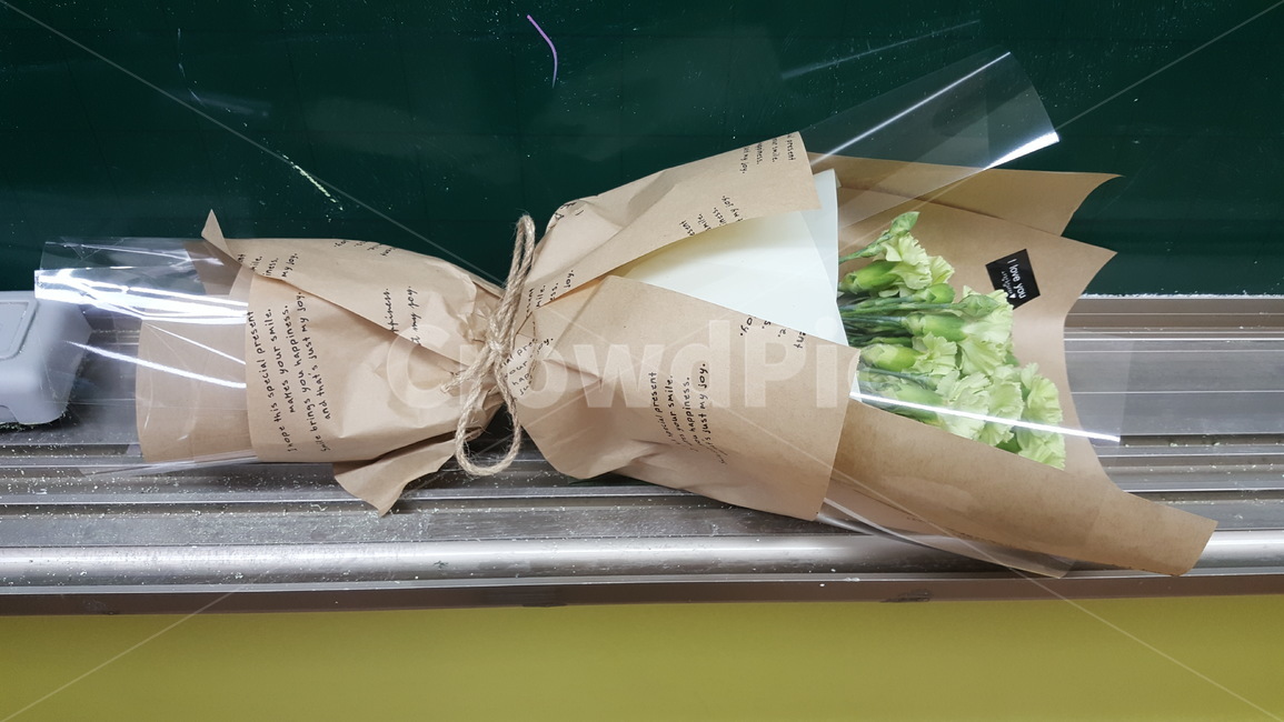 꽃,카네이션,식물,축하,기념일
