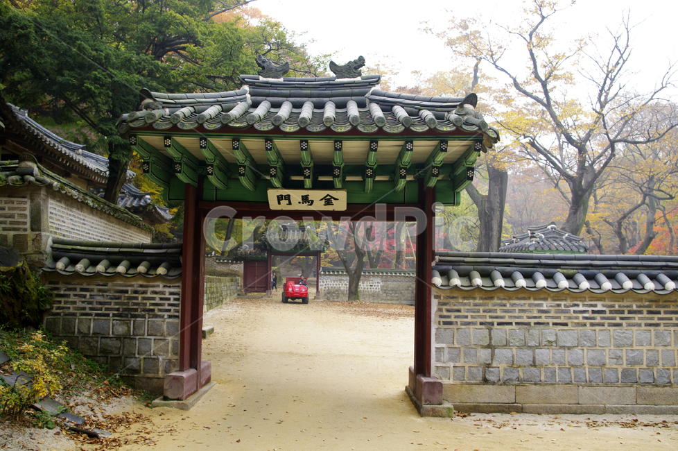 창덕궁후원,고궁,건축,전통건축,traditional,전통,기와지붕,담장,나무,식물,plant,가을,계절,fall,autumn,season,한국전통,한국문화,korean traditional,korean culture,랜드마크,landmark,tourist attraction,한국랜드마크,한국관광지,한국명소,korea landmark,korea tourist attraction,건축물,건물외관,exterior,building,structure,architecture,construction,outdoors,옥외,garden,정원,porch,현관