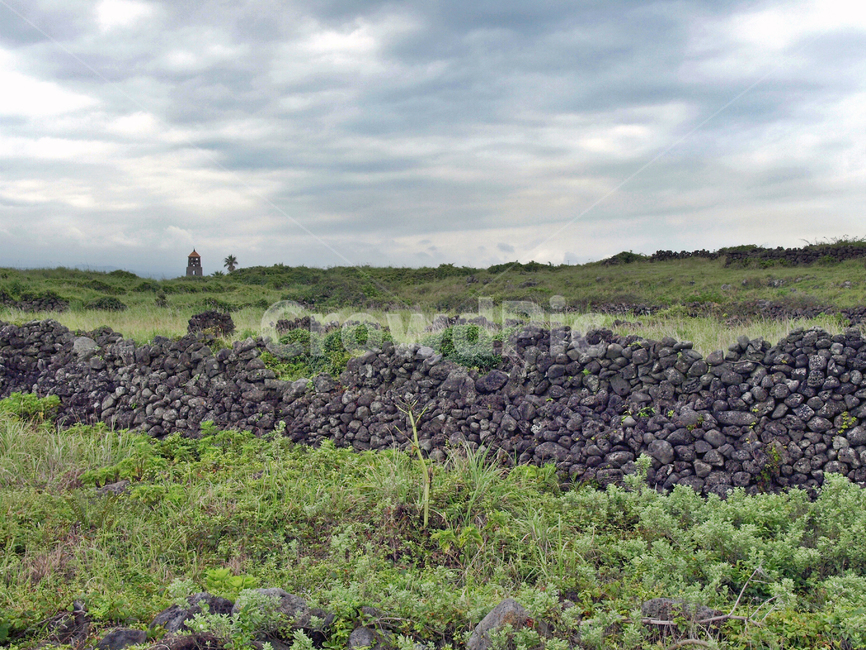 제주,올레19코스,올레길,돌담,밭,농작물,자연,풍경,nature,landscape,제주도,jeju,jeju island,bush,부시,vegetation,초목,plant,식물,outdoors,옥외,ground,바닥