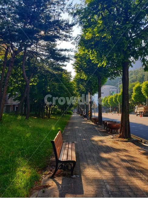 furniture,가구,path,통로,벤치,풍경,자연,nature