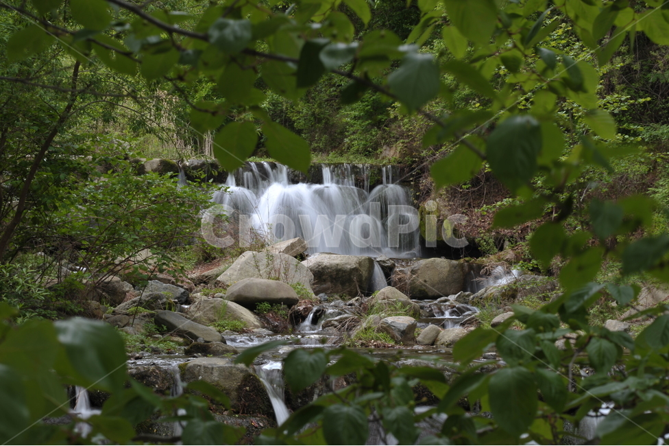 봄,산,계곡,푸르름,시원함,등산,자연,풍경,nature,landscape,water,물,river,강,outdoors,옥외,waterfall,폭포