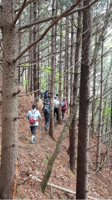등산,산행,힐링,나무,숲,nature,등산객,운동,sports,건강,스포츠,레져,사람