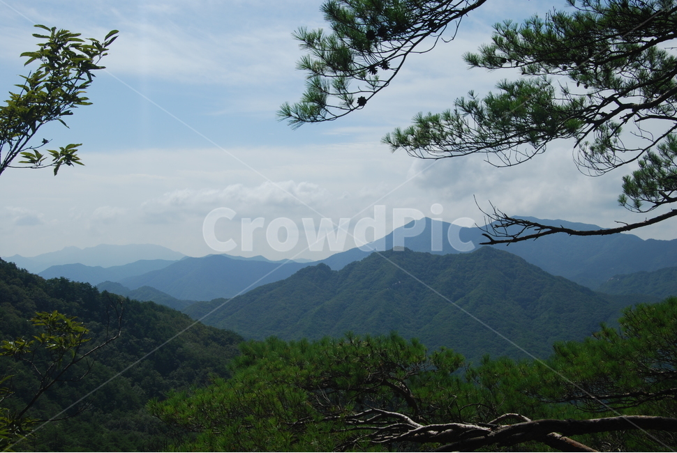 막장봉,휴양림,자연,하늘,공원,자연,풍경,nature,landscape,한국자연풍경,한국자연경관,korea nature landscape,outdoors,옥외