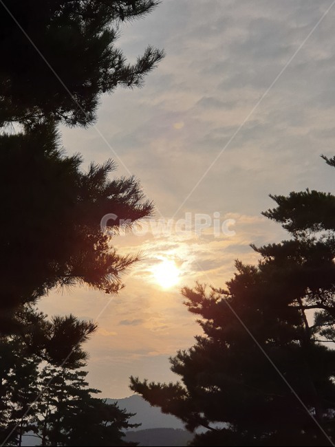 햇빛,nature,flare,플레어,자연,light,빛,sunlight,자연,풍경,nature,landscape