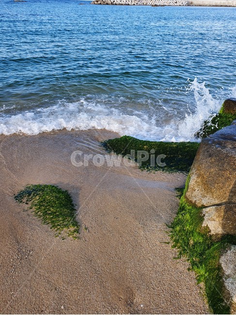 바다,sea,자연,ocean,shoreline,해안선,water,물,nature,파도,해변,바다,beach,sea