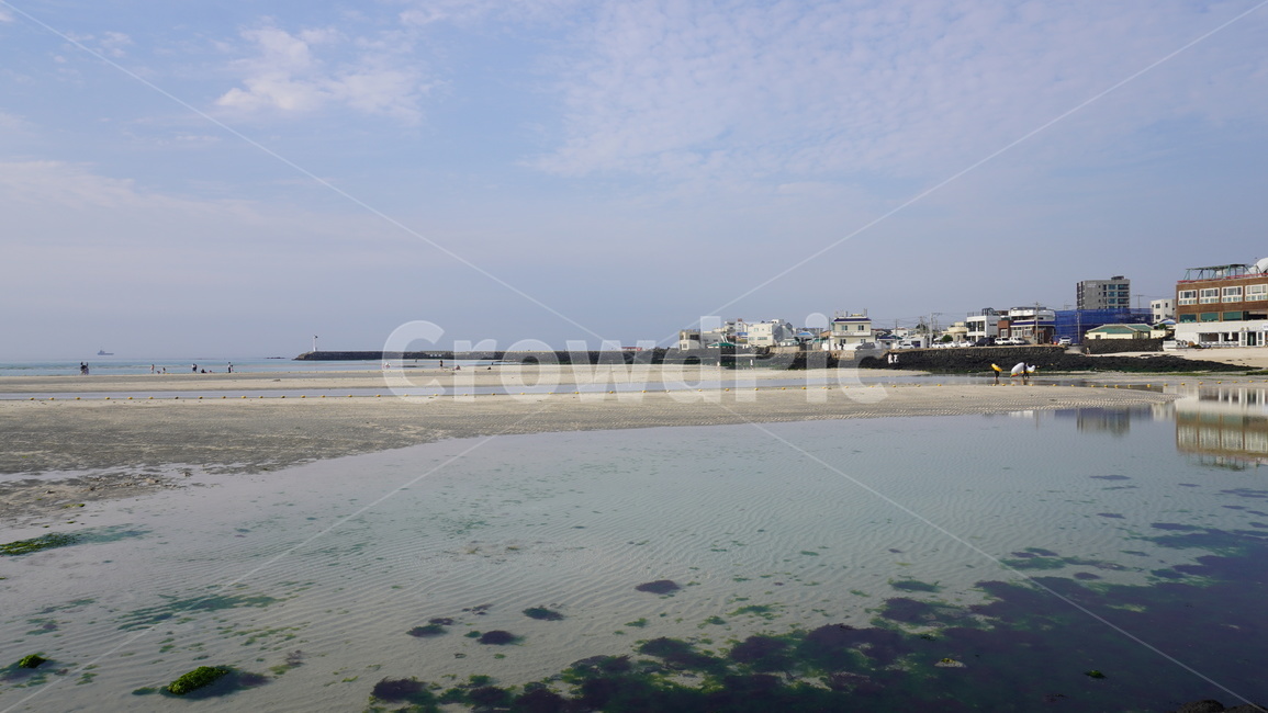 제주도,바다,자연,풍경,바다풍경