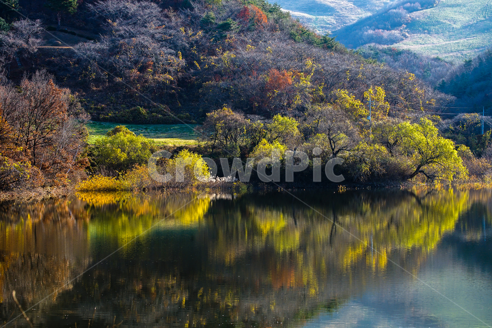 호수,가을,반영,투영,풍경,계절,단풍,나무,숲,가을,계절,fall,autumn,season,자연,풍경,nature,landscape,water,물,outdoors,옥외