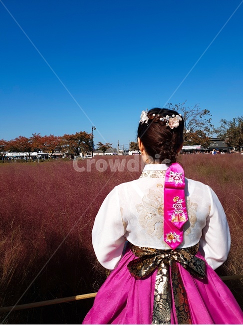 한복,한국,인물,옆모습,뒷모습,한국인,동양인,전통의상,아름다운,고운,댕기,댕기머리,한국문양,아시아,소녀,여자,낭자,아씨,색감,분홍,산책,한국적인,전통적인,핑크뮬리,hanbok,korea,korean,traditionl,culture,aisa,dress,pink,pinkmuhly,한국전통,한국문화,korean traditional,korean culture,한복,한국전통의상,hanbok,korean traditional clothes,사람,인물,인간,human,person,여성,여자,woman,female,lady