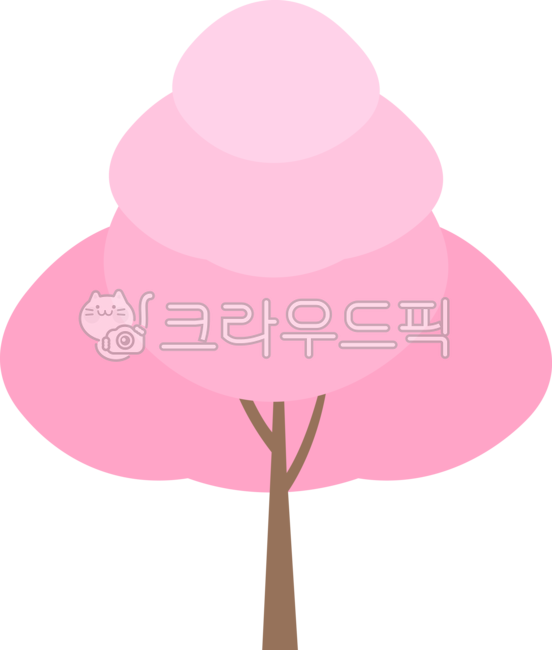 벚나무,벚꽃나무,벚꽃,벚,사쿠라