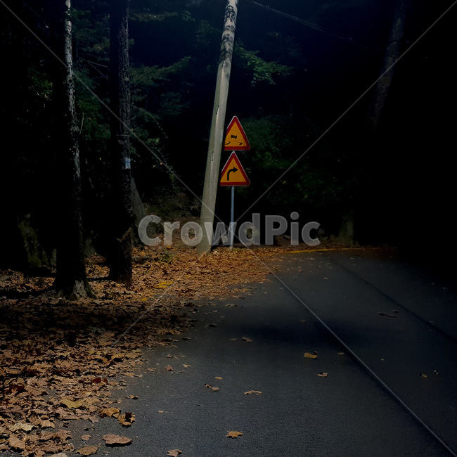감성,야간,낙엽,표지판,아스팔트,tarmac,asphalt,가로등,가을,계절,fall,autumn,season