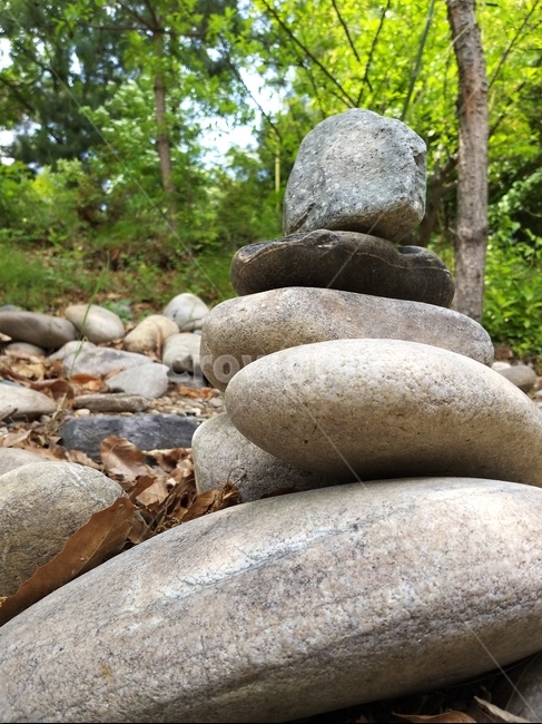 돌,rubble,석축,탑,돌탑,나무,파편