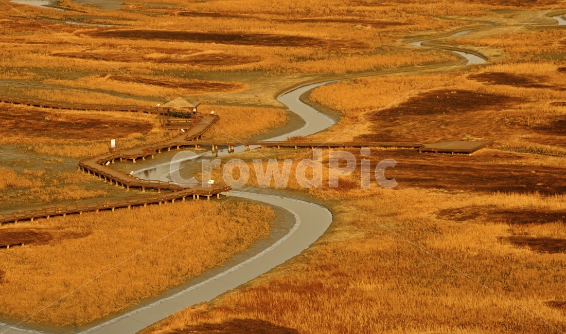 nature,자연,outdoors,옥외,신안,증도,증도겨울,증도물길,물길,태평염전,자연,풍경,nature,landscape