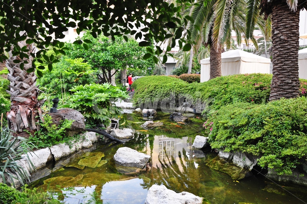 제주,호텔,둘레길,연못,풍경,outdoors,옥외,water,물,nature,자연,person,사람,human,인간